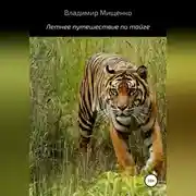 Постер книги Летнее путешествие по тайге