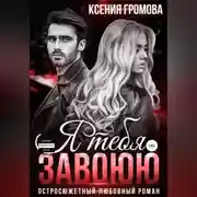 Постер книги Я тебя завоюю