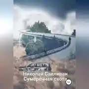 Постер книги Сумеречная охота