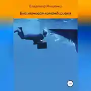 Постер книги Внеплановая командировка