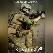 Постер книги Командир