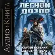 Постер книги Лесной дозор 2