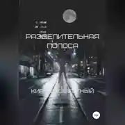 Постер книги Разделительная полоса