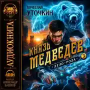 Постер книги Князь Медведев. Аудиокнига III