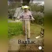 Постер книги Вадвас