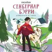 Постер книги Сенбернар Бэрри. Спасатель в горах