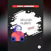 Постер книги Эйнштейн на джипе