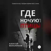 Постер книги Где ночуют птицы