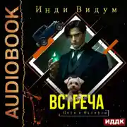 Постер книги Петя и Валерон. Книга 7. Встреча