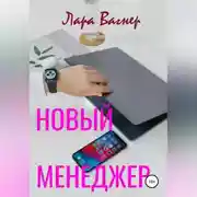 Постер книги Новый менеджер