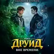 Постер книги Друид. Том 6. Вне времени