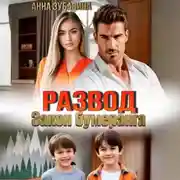 Постер книги Развод. Закон бумеранга