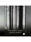 Анна Макар - Пять минут, чтобы сделать выбор