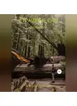 Николай Трясцын - Страшные сны
