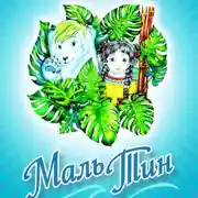 Постер книги Маль-Тин