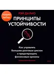 Рэй Далио - Принципы устойчивости. Как управлять Большим долговым циклом и предотвращать финансовые кризисы