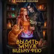 Постер книги Выдать замуж ведьму-фею
