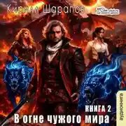 Постер книги В огне чужого мира