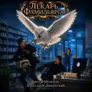 Постер книги Лекарь Фамильяров. Том 10