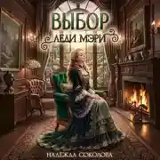 Постер книги Выбор леди Мэри
