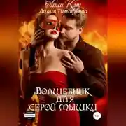 Постер книги Волшебник для серой мышки