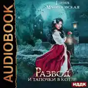 Постер книги Развод и тапочки в котле