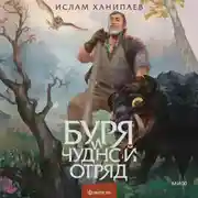 Постер книги Буря и чудной отряд