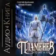 Постер книги Пламенев. Книга X