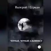 Постер книги Чёрный, чёрный альпинист