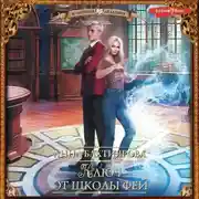 Постер книги Ключ от школы фей