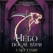 Постер книги Небо после бури