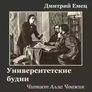 Постер книги Университетские будни