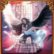 Постер книги Академия ХИЛТ. Светлый феникс