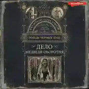 Постер книги Дело медведя-оборотня