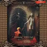 Постер книги Фантом. Последние штрихи