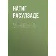 Постер книги Мгновение