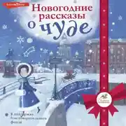 Постер книги Новогодние рассказы о чуде