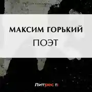 Постер книги Поэт