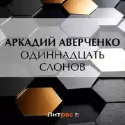 Постер книги Одиннадцать слонов