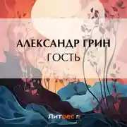 Постер книги Гость