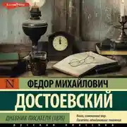 Постер книги Дневник писателя (1876)
