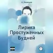 Постер книги Лирика Простуженных Будней
