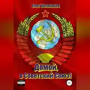 Постер книги Домой, в Советский Союз!