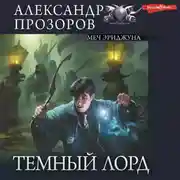 Постер книги Меч Эдриджуна
