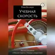 Постер книги Учебная скорость