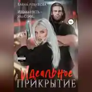 Постер книги Идеальное прикрытие