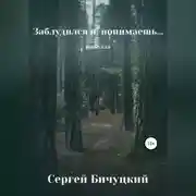 Постер книги Заблудился я, понимаешь…