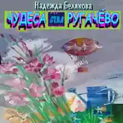 Постер книги Чудеса села Ругачёво