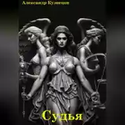 Постер книги Судья