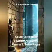 Постер книги Командировка задним числом. Книга 1. Тени Аида
